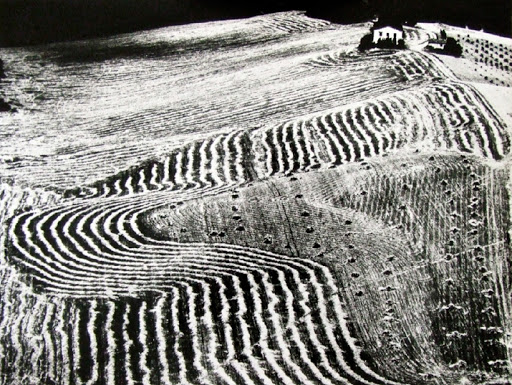 Mario Giacomelli (Senigallia). Landscapes. Marche 